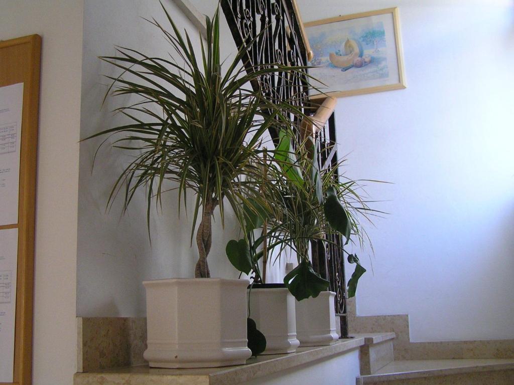 Apartments Paloma Blanca Medulin Cameră foto